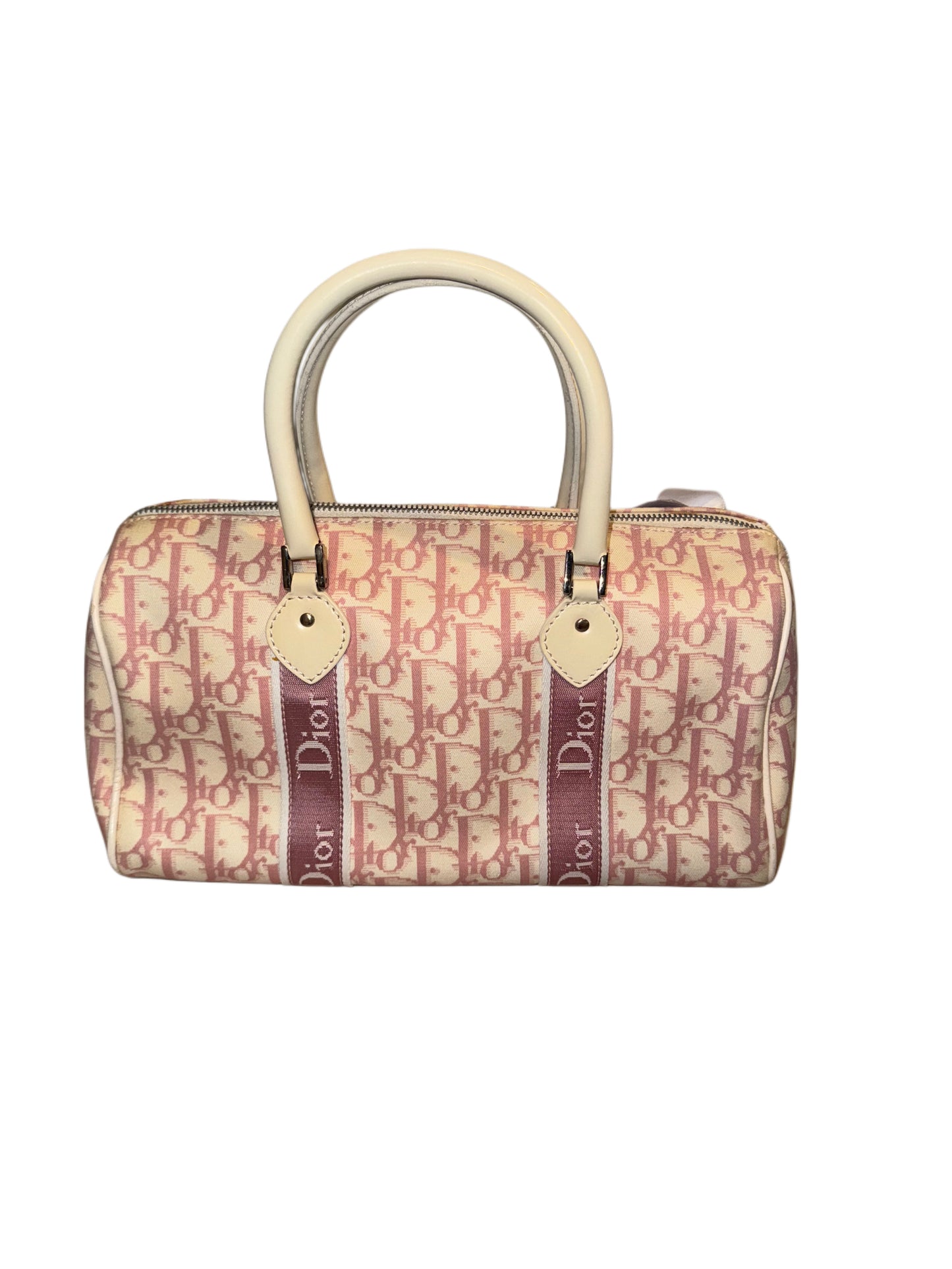 Christian Dior Trotter Bag