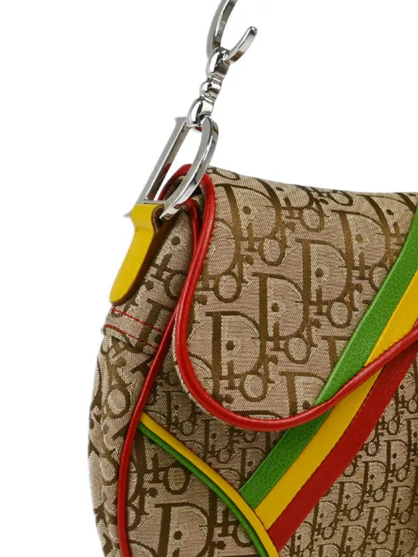 Dior Rasta Saddle Bag